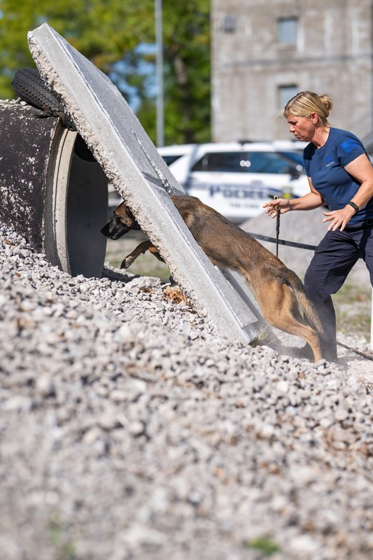 NAPCH Training Photo 4